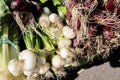 Fresh organic red and white onions at a small farmers market Royalty Free Stock Photo