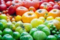 Fresh organic red, yellow and green tomatoes rainbow background Royalty Free Stock Photo