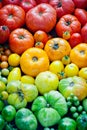 Fresh organic red, yellow and green tomatoes rainbow background Royalty Free Stock Photo