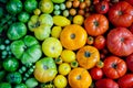 Fresh organic red, yellow and green tomatoes rainbow background Royalty Free Stock Photo