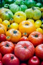 Fresh organic red, yellow and green tomatoes rainbow Royalty Free Stock Photo