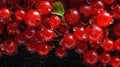 Fresh Organic Redcurrant Berry Horizontal Background.