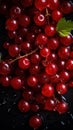 Fresh Organic Redcurrant Berry Vertical Background.