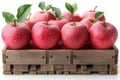Fresh organic ripe apples in wooden crate on white background, healthy fruit photography Royalty Free Stock Photo