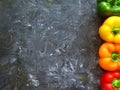 Fresh vegetables bell red, yellow, Green, orange peppers isolated on grey background, copy space Royalty Free Stock Photo