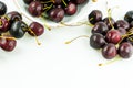 Fresh organic ripe black cherries in a bowl and spread around on an isolated white background Royalty Free Stock Photo