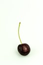 Fresh organic ripe black cherry isolated on white background Royalty Free Stock Photo