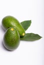 Fresh organic ripe green Fuerte avocado with leaves, copy space Royalty Free Stock Photo