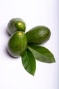 Fresh organic ripe green Fuerte avocado with leaves, copy space Royalty Free Stock Photo