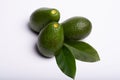 Fresh organic ripe green Fuerte avocado with leaves, copy space Royalty Free Stock Photo