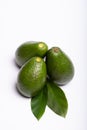 Fresh organic ripe green Fuerte avocado with leaves, copy space Royalty Free Stock Photo