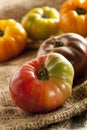 Fresh Organic Ripe Heirloom Tomatoes