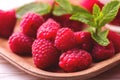 Fresh organic ripe raspberry with mint leaves in tray Royalty Free Stock Photo