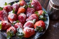 Fresh Organic Ripe Strawberries with Powdered Sugar on Black Plate. Royalty Free Stock Photo