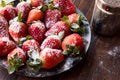 Fresh Organic Ripe Strawberries with Powdered Sugar on Black Plate. Royalty Free Stock Photo