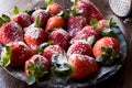 Fresh Organic Ripe Strawberries with Powdered Sugar on Black Plate. Royalty Free Stock Photo