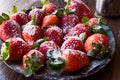 Fresh Organic Ripe Strawberries with Powdered Sugar on Black Plate. Royalty Free Stock Photo