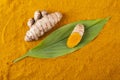 Fresh Organic Root And Turmeric Powder - Curcuma Longa Royalty Free Stock Photo