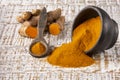 Fresh Organic Root And Turmeric Powder - Curcuma Longa Royalty Free Stock Photo