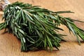 fresh organic rosemary from the garden