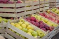 Fresh organic rows of apples crates at the farmers market 2 Royalty Free Stock Photo