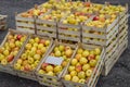 Fresh organic rows of apples crates at the farmers market