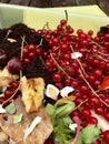 Fresh organic rubbish with currants in a small plastic bucket Royalty Free Stock Photo