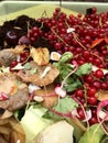 Fresh organic rubbish with currants in a small plastic bucket Royalty Free Stock Photo