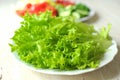 Fresh organic salad frisee and sliced vegetables on the white plates on the wooden table. Royalty Free Stock Photo