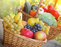 Fresh organic seasonal fruits and vegetables Royalty Free Stock Photo