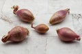 Fresh, organic shallots with delicate papery skins scattered on a pristine white marble surface Royalty Free Stock Photo