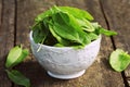 Fresh organic sorrel leaves in bowl on wooden table Royalty Free Stock Photo
