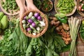 Fresh organic Southeast Asian vegetables and spices from local farmer market, Northern of Thailand Royalty Free Stock Photo