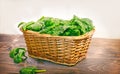 Fresh organic spinach in wicker basket Royalty Free Stock Photo