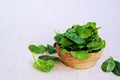 Fresh organic spinach in a wooden bowl on a light concrete background. Fresh greens Royalty Free Stock Photo