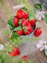 fresh organic strawberries bucket in nature background Royalty Free Stock Photo