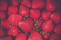 Fresh Organic Strawberries Royalty Free Stock Photo