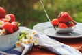 Fresh organic strawberries in plate in summer garden Royalty Free Stock Photo