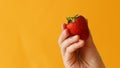 Fresh organic strawberry in woman hand over yellow background. Healthy eating and lifestyle concept