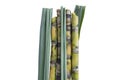 Fresh organic sugarcane with leaf isolated on a white background