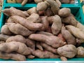 Fresh, organic sweet potatoes / Ipomoea batatas for sale in the supermarket.