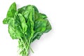 Fresh organic Swiss Silverbeet chard or spinach leaves with drops of water on white background. Healthy eating concept.