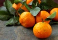 fresh organic tangerines christmas