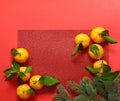 fresh organic tangerines christmas