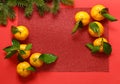 fresh organic tangerines christmas