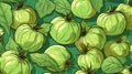 Fresh Organic Tomatillo Vegetable Horizontal Background Illustration.