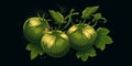 Fresh Organic Tomatillo Vegetable Horizontal Trendy Illustration.