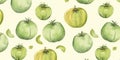 Fresh Organic Tomatillo Vegetable Horizontal Watercolor Illustration.