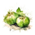 Fresh Organic Tomatillo Vegetable Square Background.