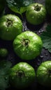 Fresh Organic Tomatillo Vegetable Vertical Background.